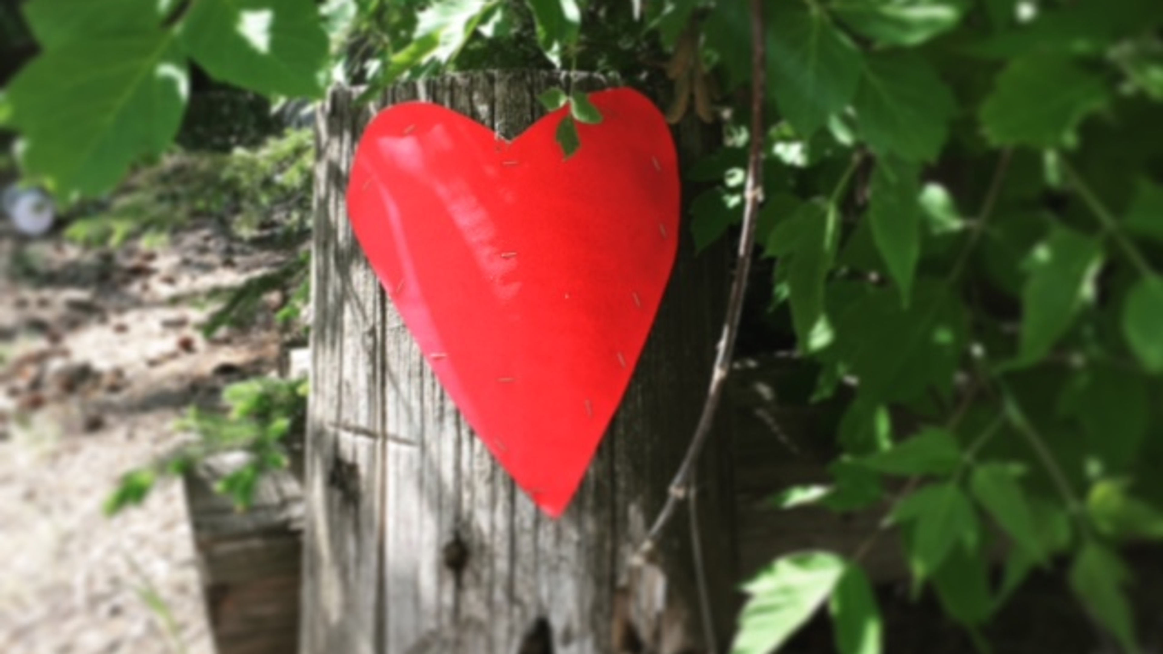 Ambient Pieces with cinematographer Craig Wrobleski